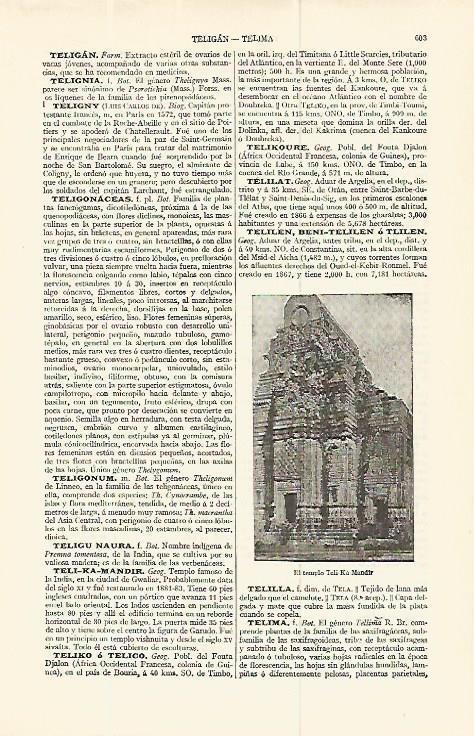LAMINA ESPASA 13767: El templo de Teli Ka Mandir India
