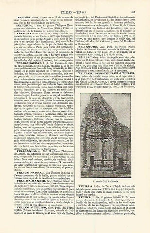 LAMINA ESPASA 13767: El templo de Teli Ka Mandir India