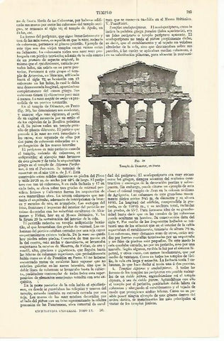 LAMINA ESPASA 13789: Templo de Demeter en Pesto