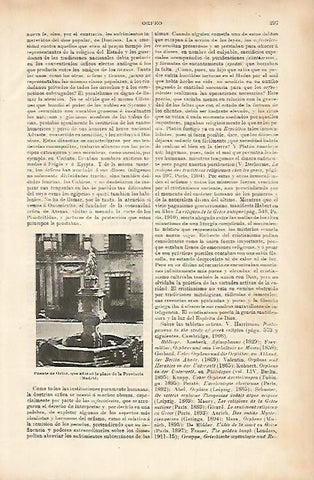 LAMINA ESPASA 7584: Fuente de Orfeo que estaba en la plaza de la Provincia en Madrid