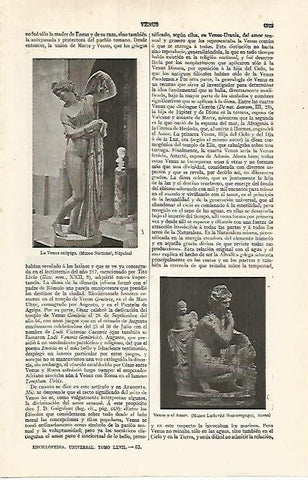 LAMINA ESPASA 17527: La Venus calipiga 