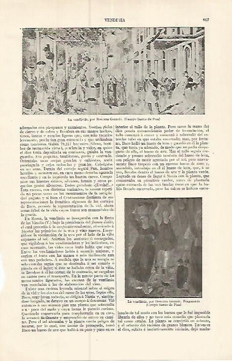 LAMINA ESPASA 17440: La vendimia por Gozzoli