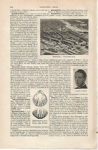 LAMINA ESPASA 19833: Vista aerea de Magdeburgo Alemania