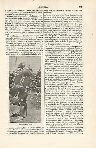 LAMINA ESPASA 20143: Guerrero niam niam