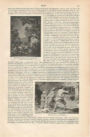 LAMINA ESPASA 6734: La edad de Plata por Cortona. La edad de Piedra por Benner