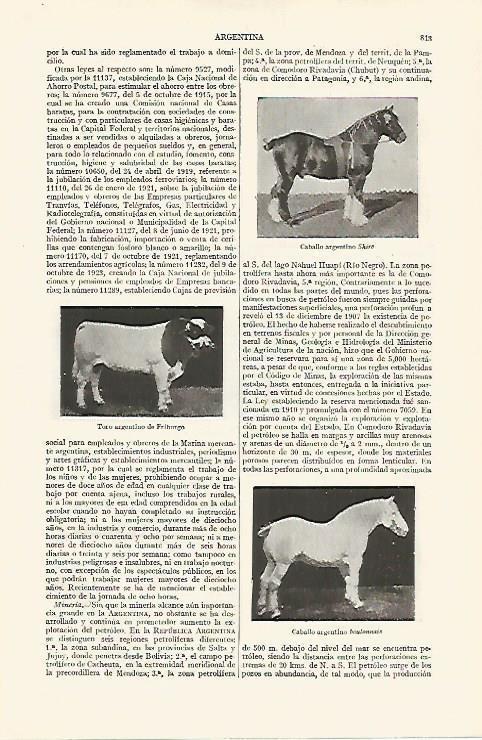LAMINA ESPASA 19075: Caballo y toro de Argentina