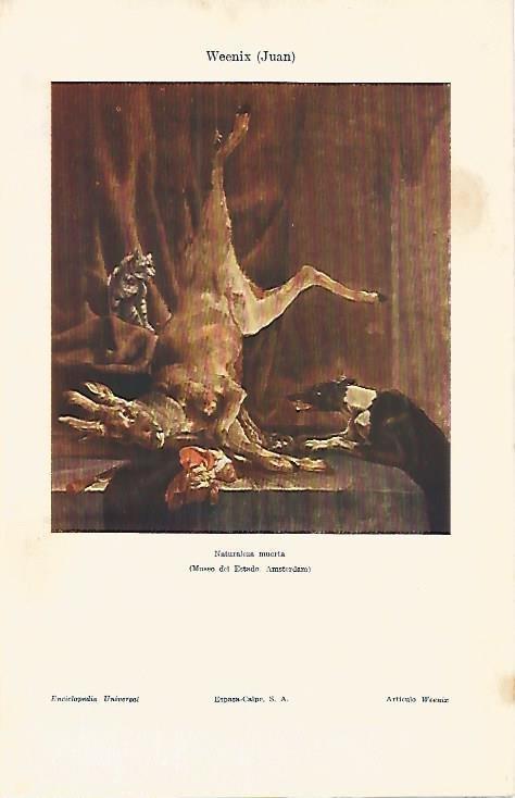 LAMINA ESPASA 4201: Naturaleza muerta de J. Weenix