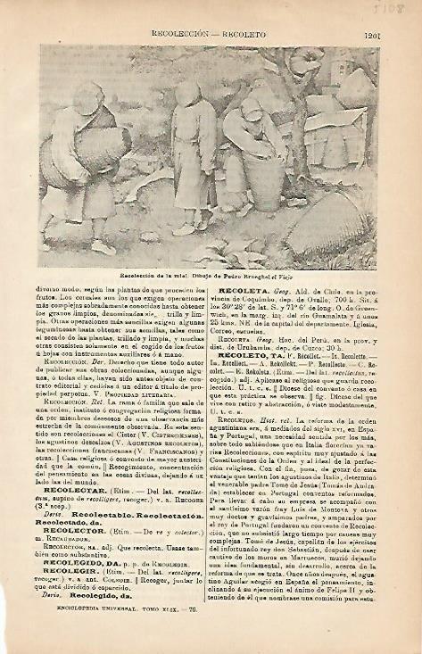 LAMINA ESPASA 5108: Recoleccion de la miel dibujo de P. Brueghel el Viejo