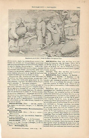 LAMINA ESPASA 5108: Recoleccion de la miel dibujo de P. Brueghel el Viejo