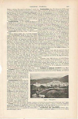 LAMINA ESPASA 22657: Vista de Taggia Italia
