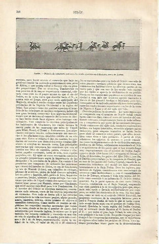 LAMINA ESPASA 22706: Caballeria del ejercito de Sudan