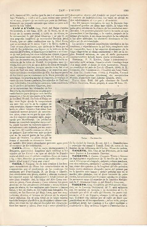 LAMINA ESPASA 22863: Estacion de Talga