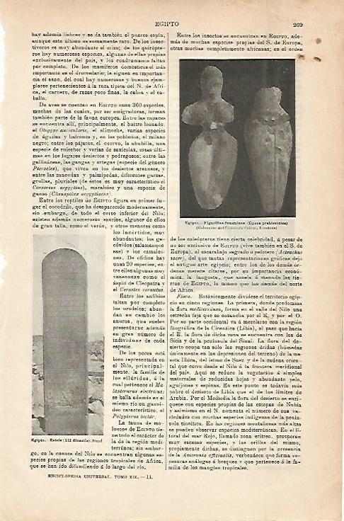 LAMINA ESPASA 6766: Estela y figuras femeninas del antiguo Egipto