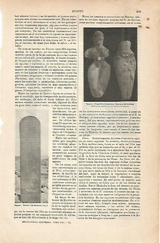 LAMINA ESPASA 6766: Estela y figuras femeninas del antiguo Egipto
