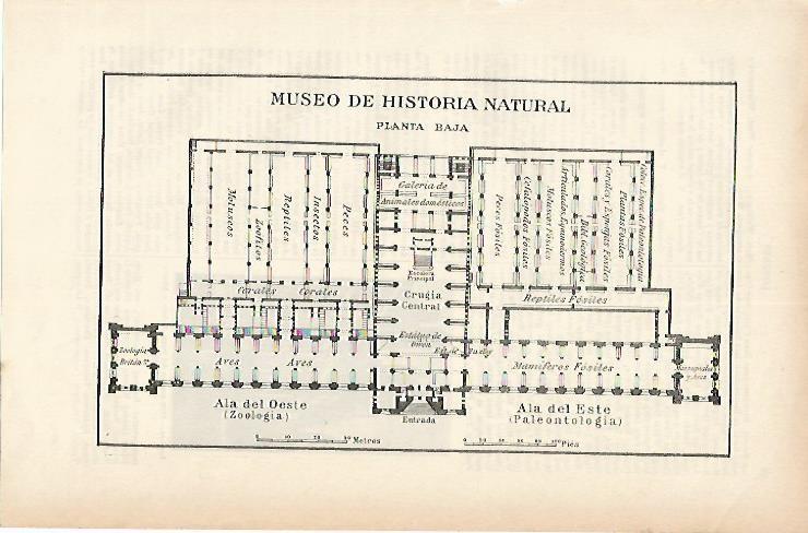 LAMINA ESPASA 1886: Plano del Museo de Historia Natural de Londres