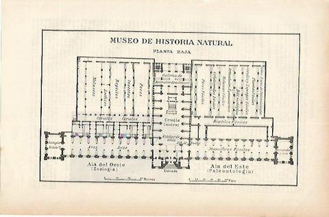 LAMINA ESPASA 1886: Plano del Museo de Historia Natural de Londres