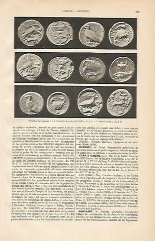 LAMINA ESPASA 2104: Monedas de Girgenti Italia