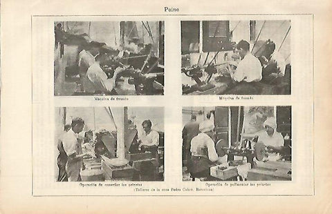 LAMINA ESPASA 2412: Talleres de peines Pedro Cabre Barcelona