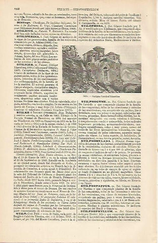 LAMINA ESPASA 7398: Iglesia bizantina en Stilo Italia