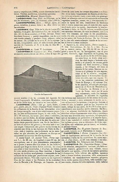 LAMINA ESPASA 8917: Castillo de Lagopesole Italia