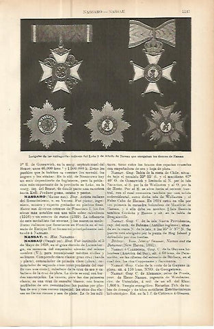 LAMINA ESPASA 10740: Insignias que daban los duques de Nassau