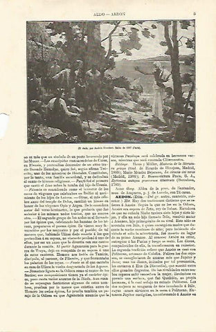 LAMINA ESPASA 12544: El Aedo por Humbert