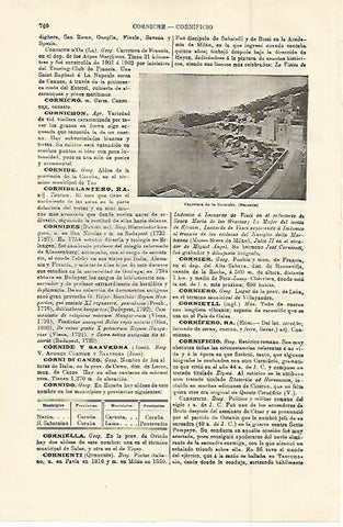 LAMINA ESPASA 14993: La Corniche de Marsella