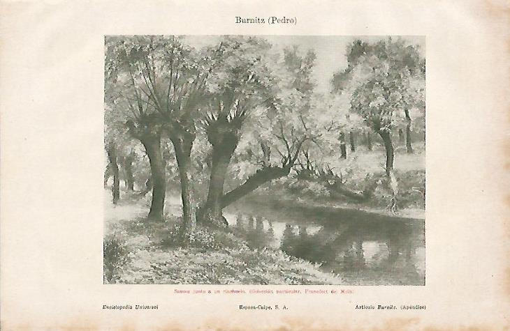 LAMINA ESPASA 8217: Sauces junto a un riachuelo por P. Burnitz