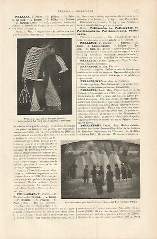 LAMINA ESPASA 17948: Pelliza de coronel de husares de Francia