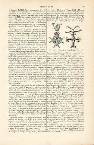 LAMINA ESPASA 8637: Cruces de la Orden Real y de Danilo I de Montenegro