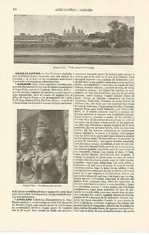 LAMINA ESPASA 10870: Templo de Angkor-Vat Camboya