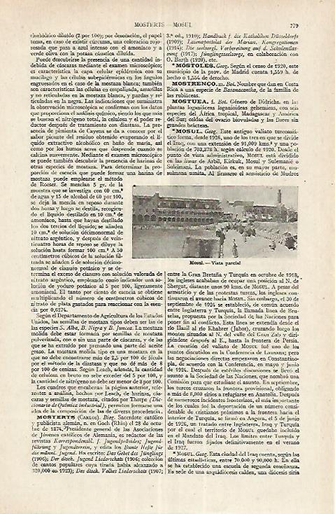 LAMINA ESPASA 17663: Vista de Moscu