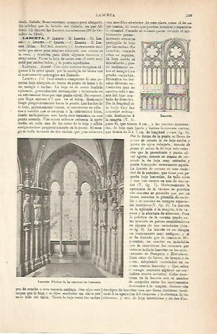 LAMINA ESPASA 8970: Catedral de Lausana Suiza