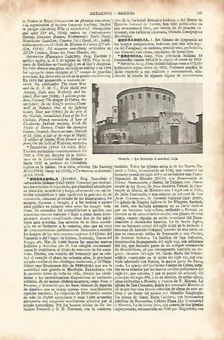LAMINA ESPASA 8234: Catedral Vieja de Brescia Italia