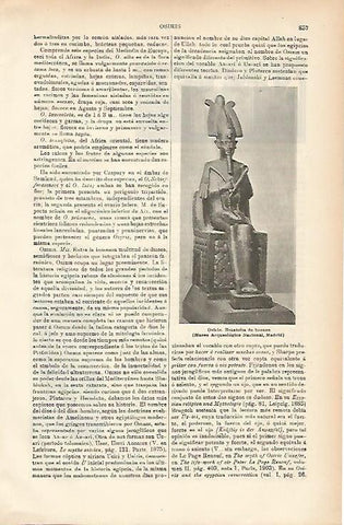 LAMINA ESPASA 7790: Osiris estatua de bronce