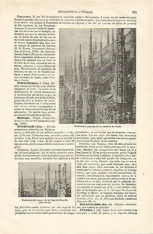 LAMINA ESPASA 23248: Catedral de Milan