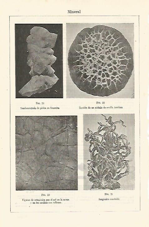 LAMINA ESPASA 24016: Mineral