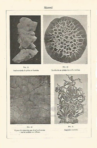 LAMINA ESPASA 24016: Mineral