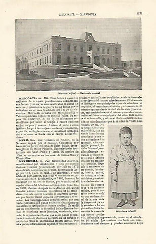 LAMINA ESPASA 24146: Manicomio de Mixcoac en Mexico