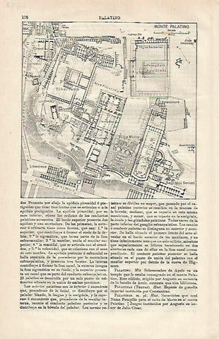 LAMINA ESPASA 24252: Plano del Monte Palatino de Roma