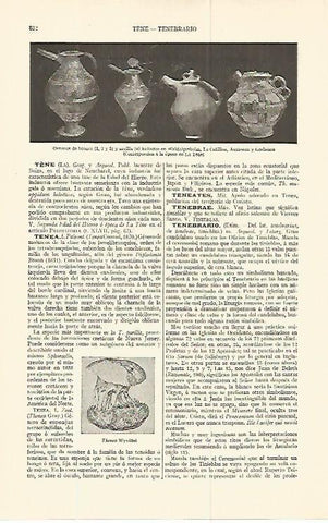 LAMINA ESPASA 13809: Oenocos de bronce