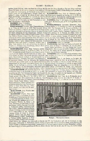 LAMINA ESPASA 21160: Orquesta de Kashgar China