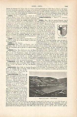 LAMINA ESPASA 25768: Escudo y vista de Lissa Austria