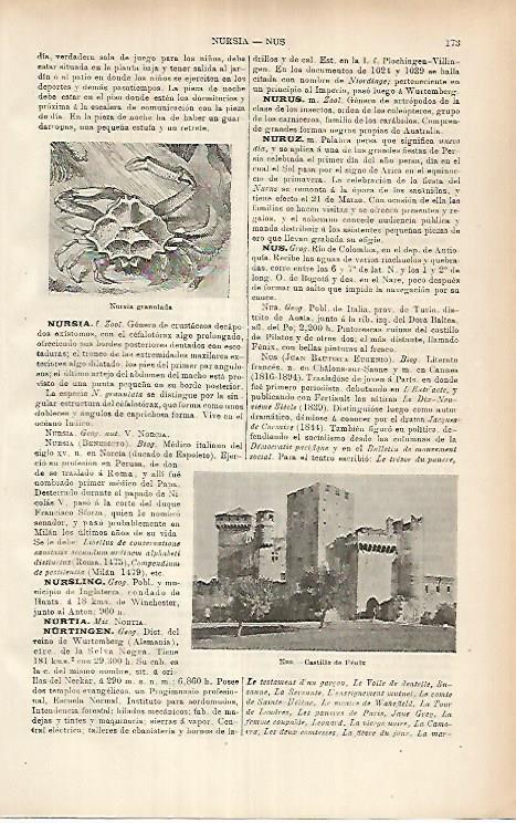 LAMINA ESPASA 25868: Castillo de Fenix en Nus Italia