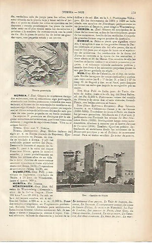 LAMINA ESPASA 25868: Castillo de Fenix en Nus Italia