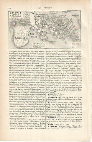 LAMINA ESPASA 25871: Plano de Nyslott Finlandia