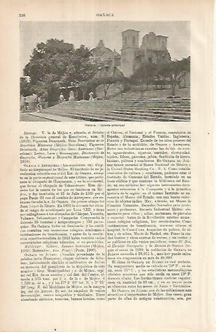 LAMINA ESPASA 25877: Iglesia de Oaxaca