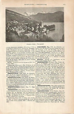 LAMINA ESPASA 25885: Vista de Oberhofen Suiza