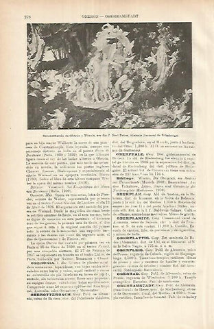 LAMINA ESPASA 25887: Reconciliacion de Oberon y Titania por Paton