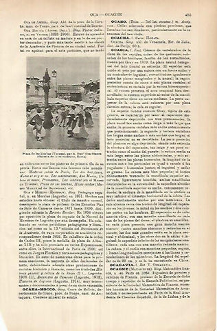 LAMINA ESPASA 25921: Plaza de las Hierbas en Verona
